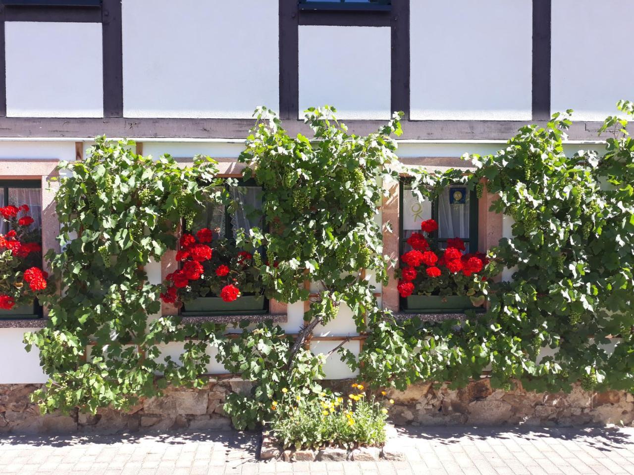 Balancehaus Kohren-Sahlis, Dein Kurhaus In Sachsen Otel Dış mekan fotoğraf